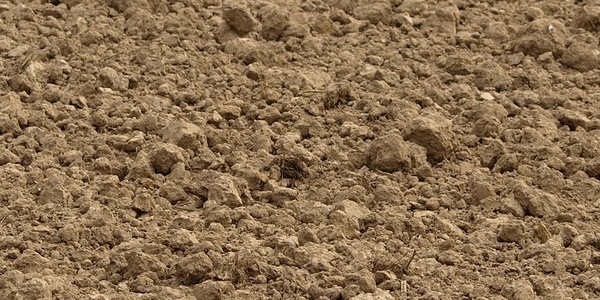 Dirt