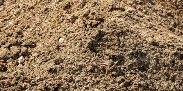 Sand-based Soil