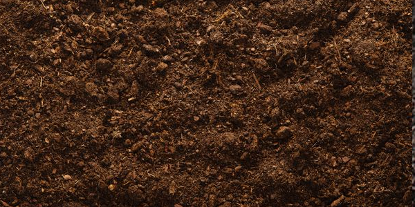 SHA Bioretention Topsoil