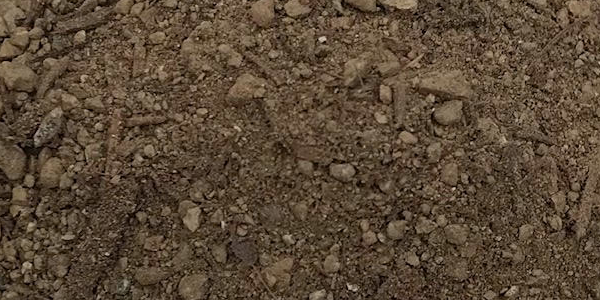 Screened Topsoil