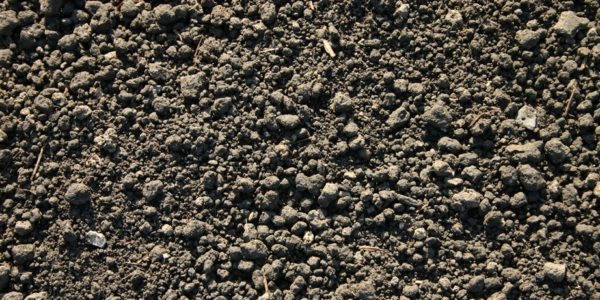 Bioretention Soil